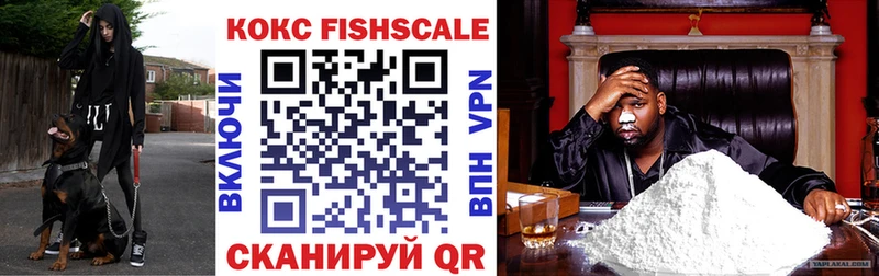 OMG как зайти Аткарск COCAIN Fish Scale