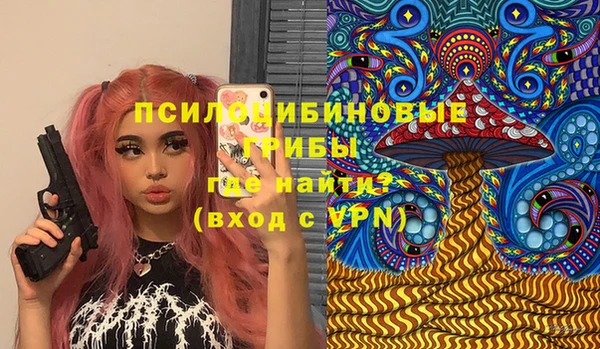 прущие грибы Алексин