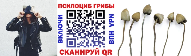 Галлюциногенные грибы мицелий  маркетплейс как зайти  Аткарск  blacksprut как зайти 